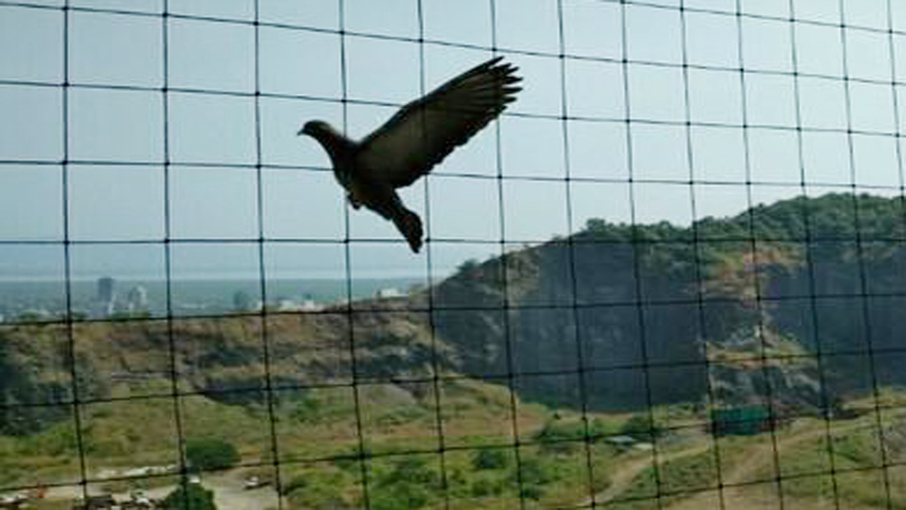 Bird Protection Net for Balcony