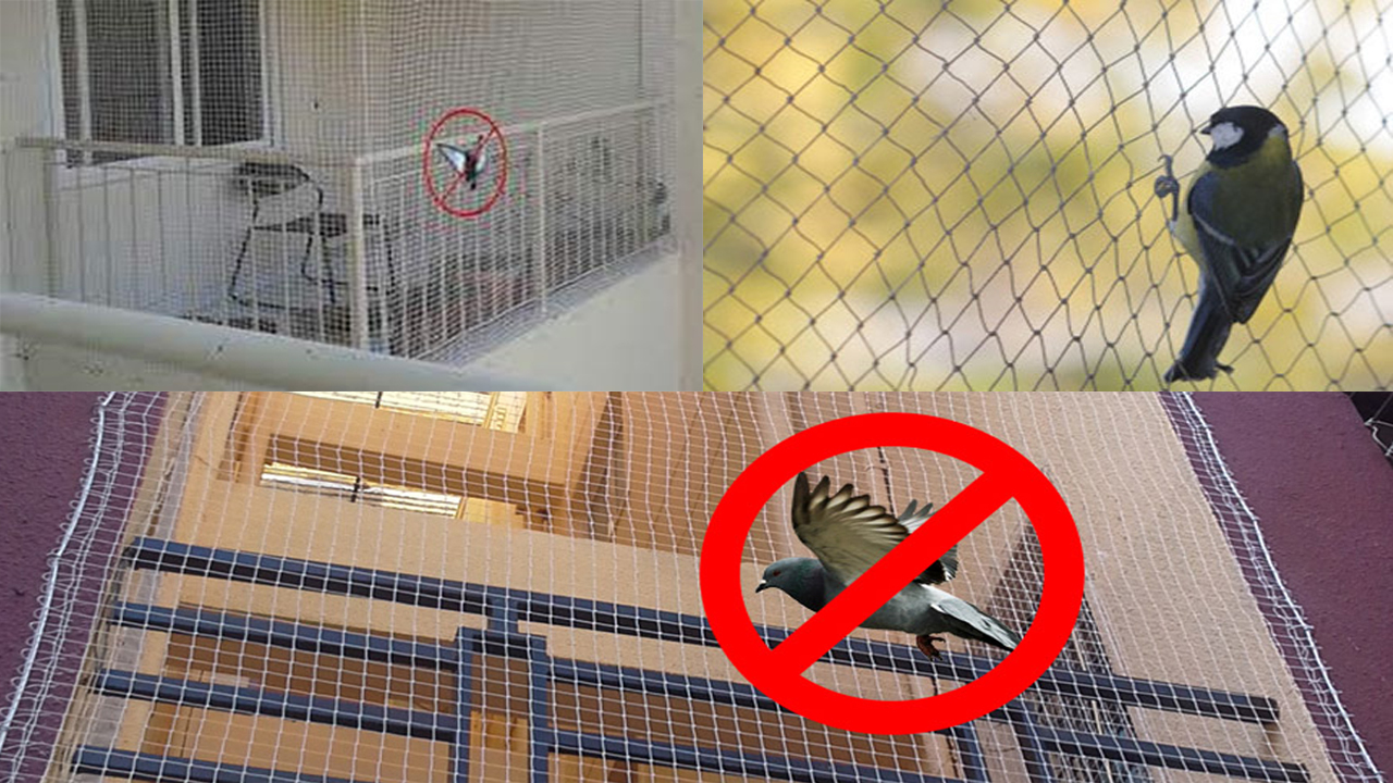 Bird Protection Net in Pune