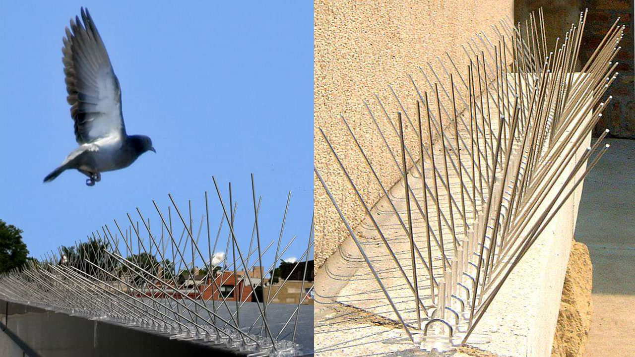 Bird Spikes In Hayath Nagar