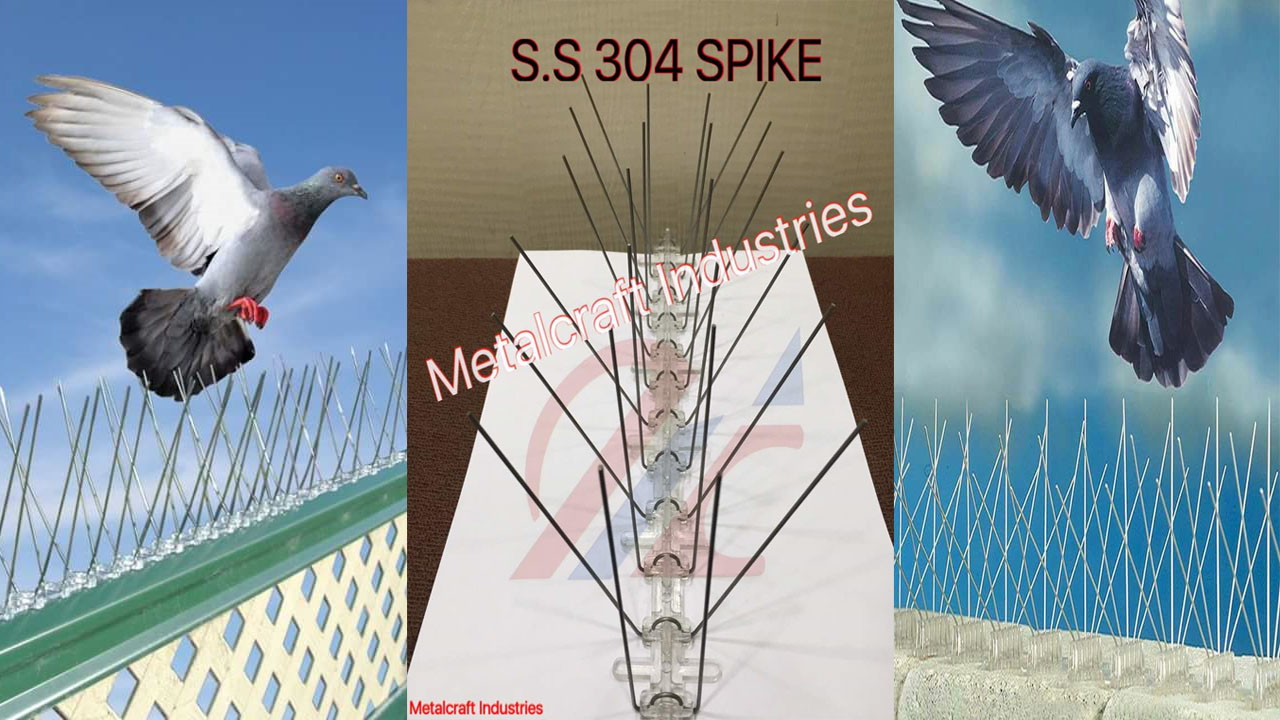 Bird Spikes In Hayath Nagar