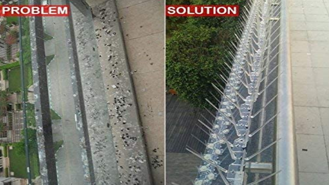 Bird Spikes In Hayath Nagar