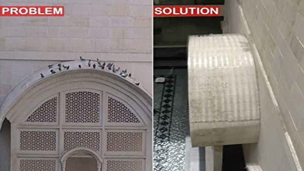Bird Spikes In Hayath Nagar