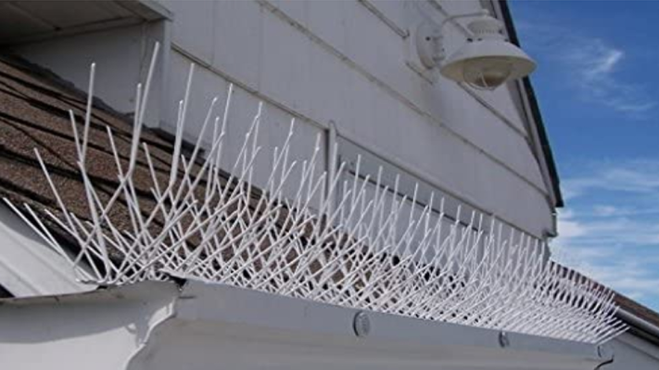 Bird Spikes In Hayath Nagar
