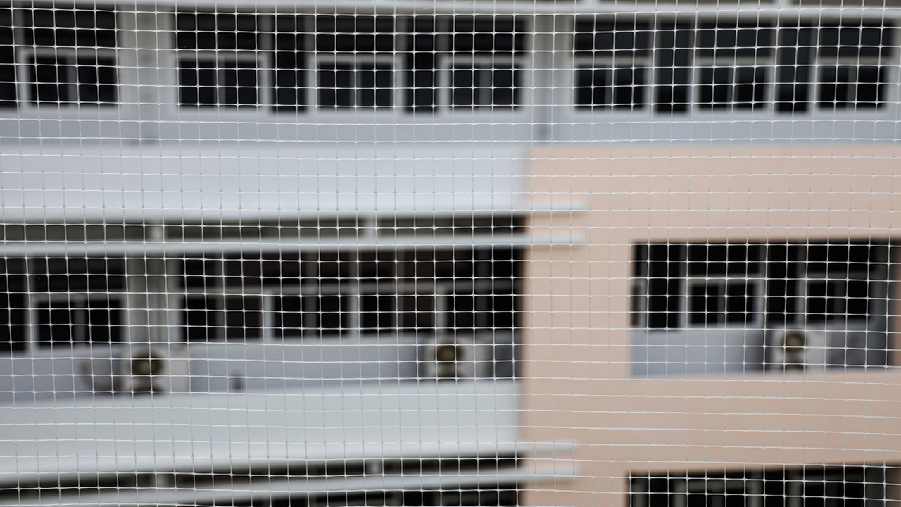 Pigeon Safety Net in Lb Nagar 
