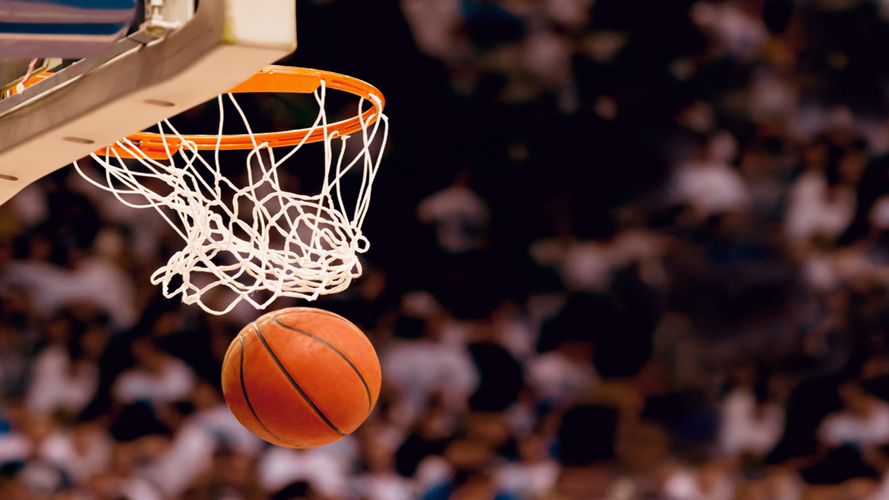 Basketball Net