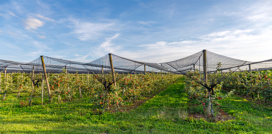 Agriculture Safety Nets in Pune