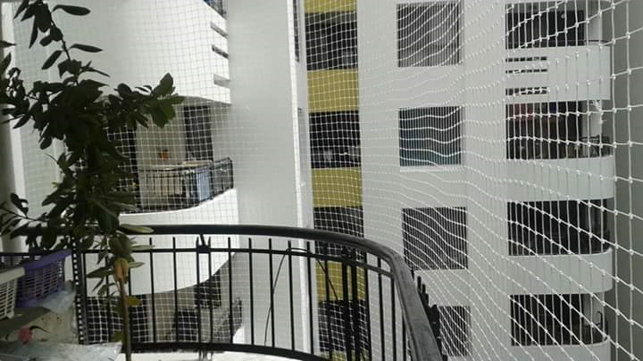 Safety Nets In Hyderabad